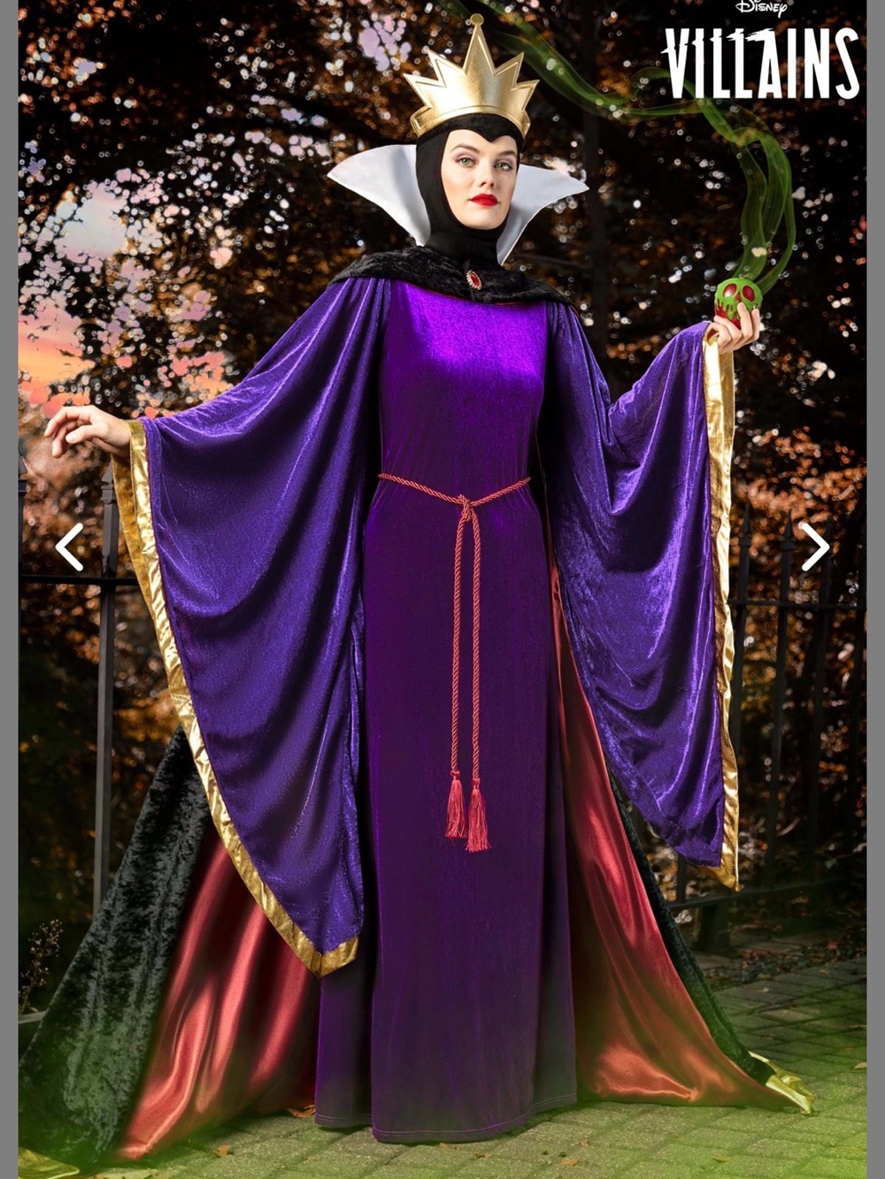 Disney Villains Evil Queen Adult Costume